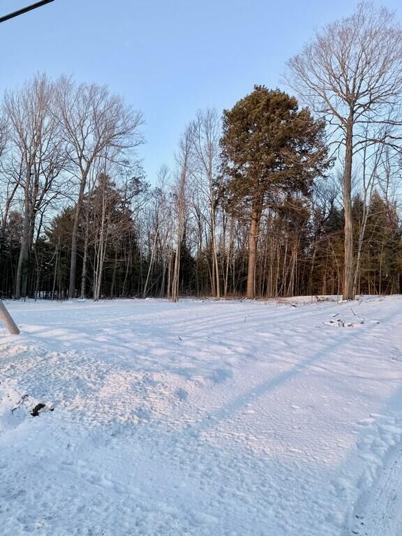 Property Photo:  254 Woodland Avenue  ME 04468 