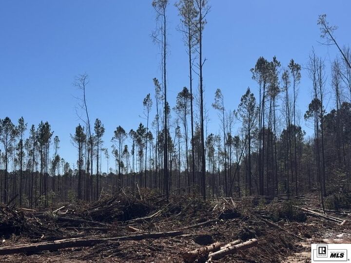 Property Photo:  0 Hooterville Road  LA 71441 