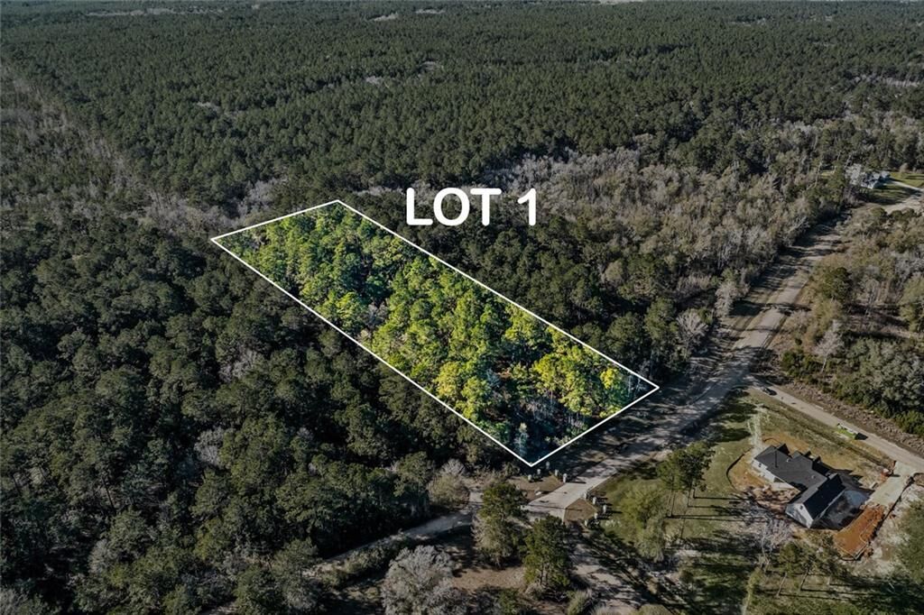 Property Photo:  12505 Goldentop Drive  LA 70433 