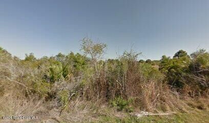 Property Photo: 741 Saltwater Street SW FL 32908