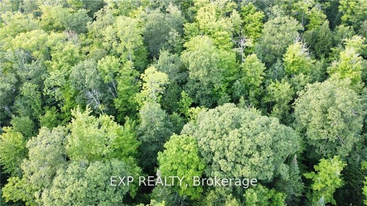 Property Photo:  Lot B Chippawa Road  ON K0J 1B0 