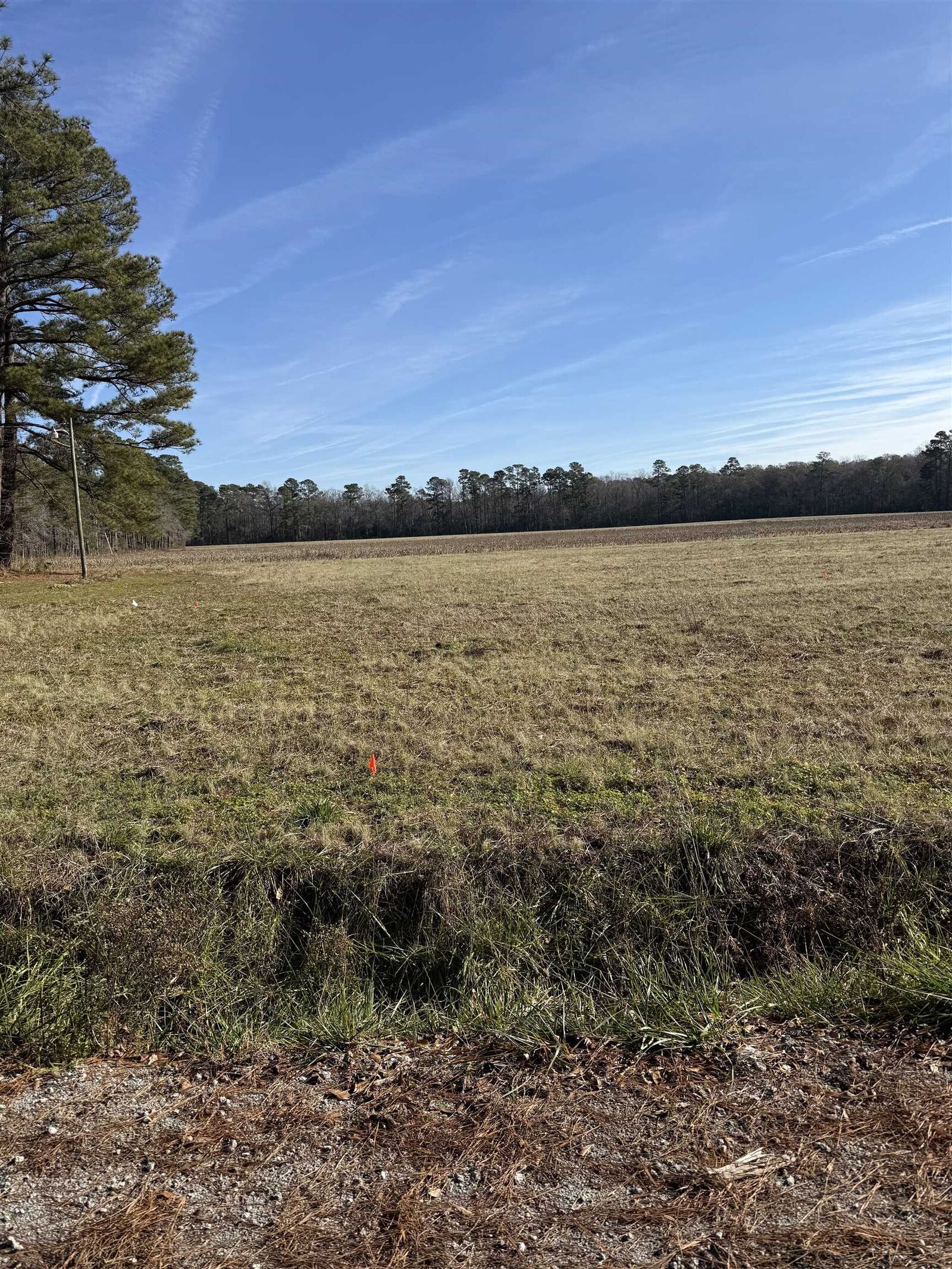 Property Photo: Lot 7 Johnson Shelley Rd. SC 29526