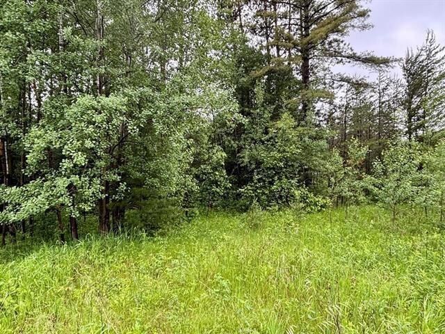 Property Photo:  1.03 Acres County Road X  WI 54455 