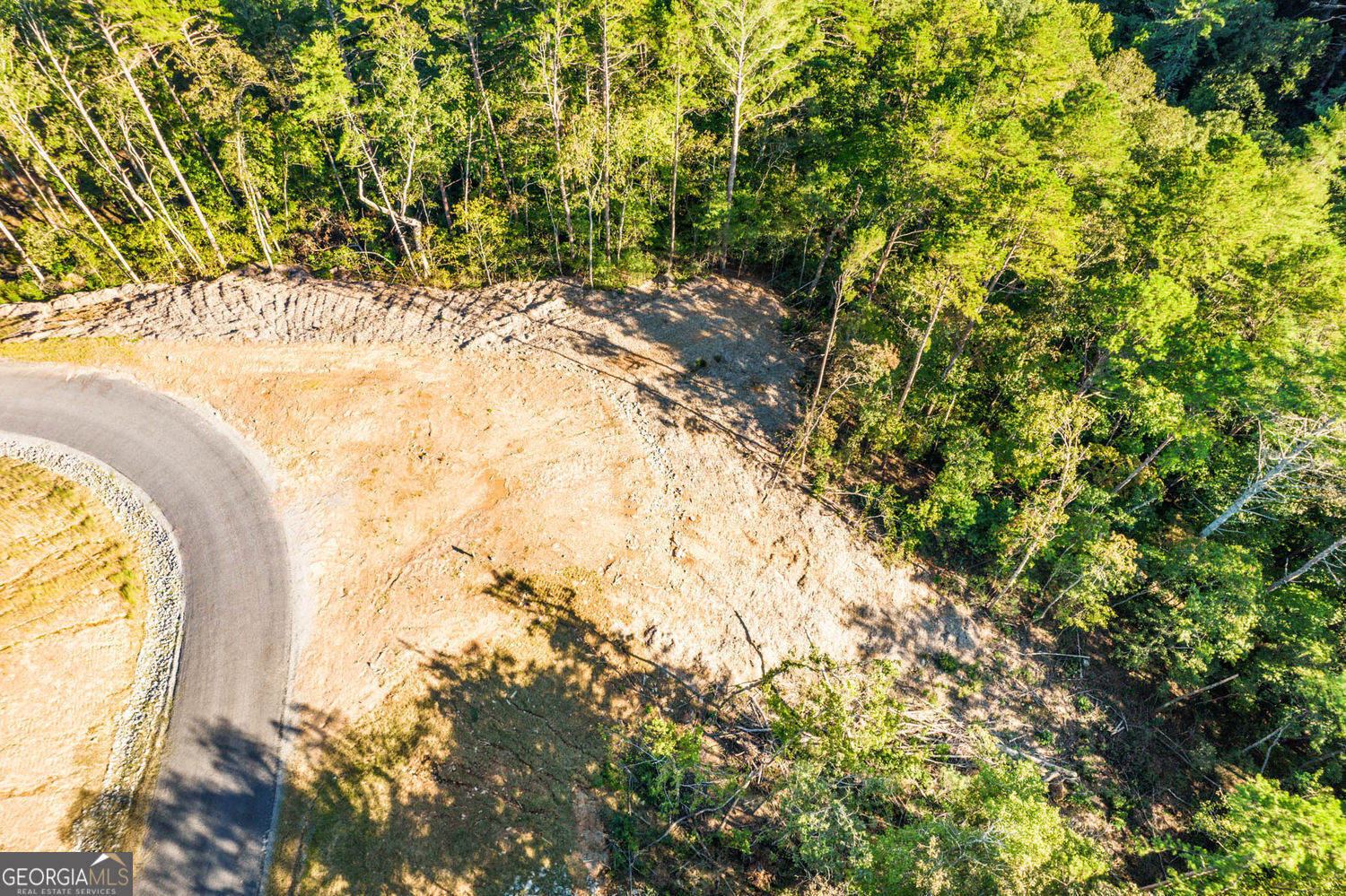 Property Photo:  0 Canoe Point  GA 30540 