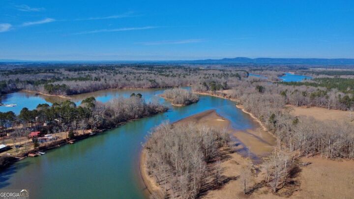 Property Photo:  0 Blacks Bluff Rd  GA 30124 