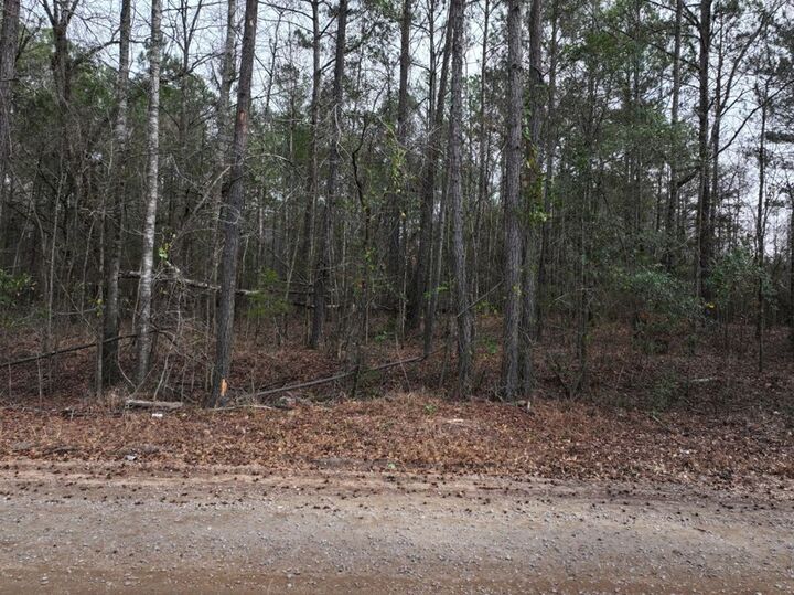 Property Photo:  Lot 2 Silva Drive  GA 31811 
