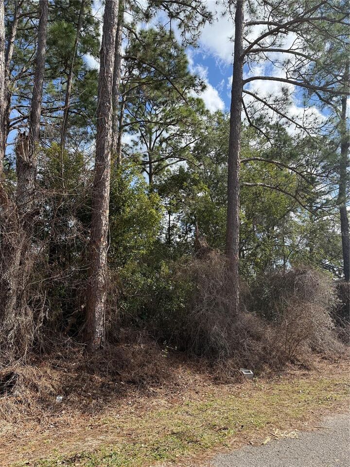 Property Photo: Tbd SE 190th Avenue FL 34488