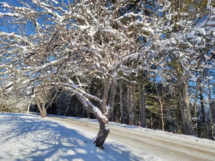 Property Photo: 4-8 Macomber Mill Road ME 04634