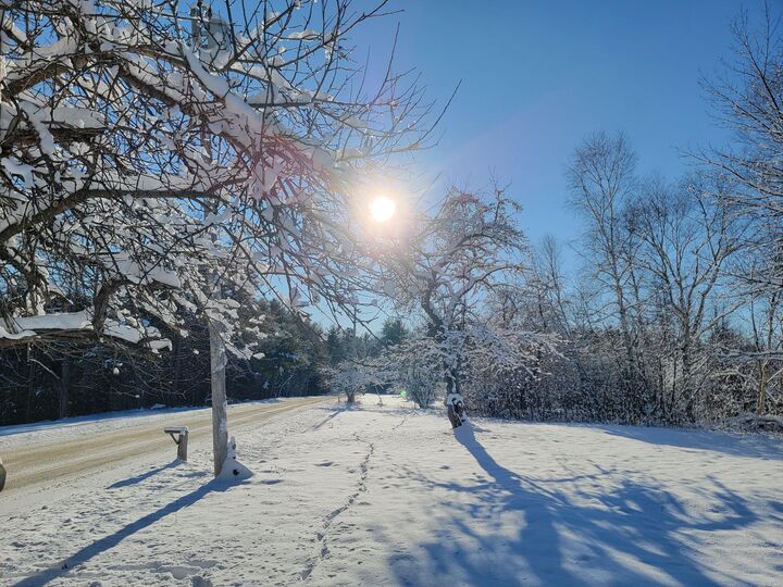 Property Photo:  4-8 Macomber Mill Road  ME 04634 