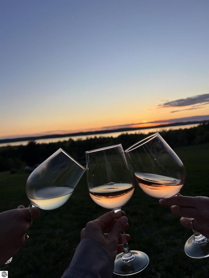 Property Photo:  9065 Windigo Trail  MI 49612 