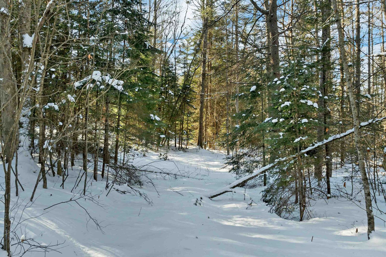 Property Photo: Nichols Road NH 03598