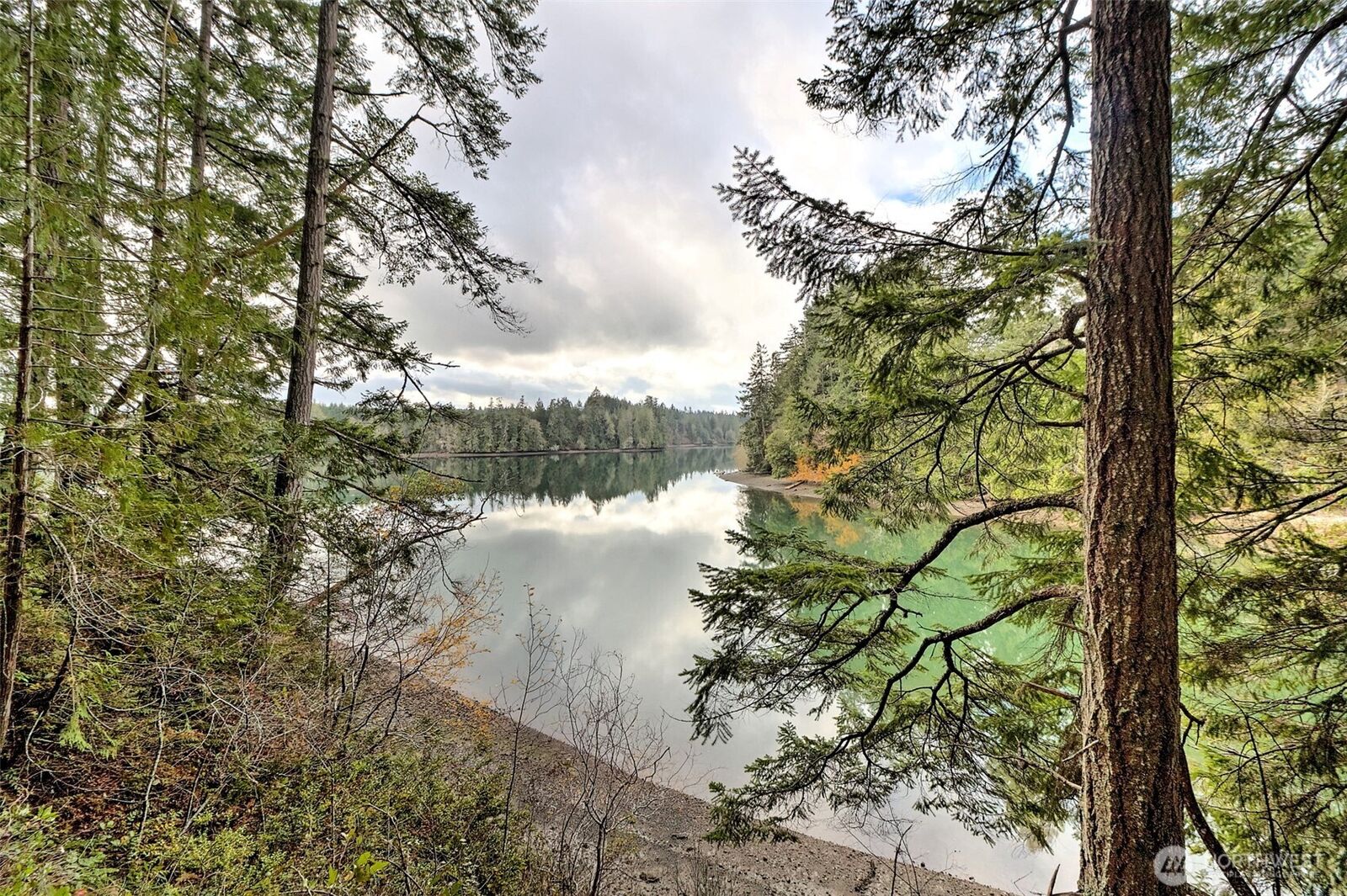 Property Photo: 120 SE Sells Drive WA 98584