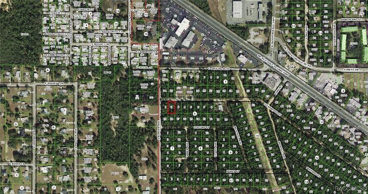 Property Photo: 3005 Clearwood Street FL 34452