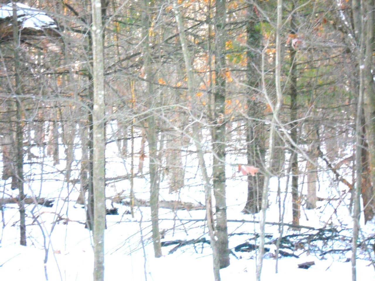 Property Photo:  1.34 Ac Czech Drive  WI 53934 