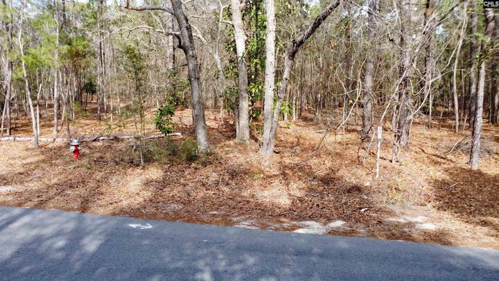 Property Photo: 46 Timberline SC 29020
