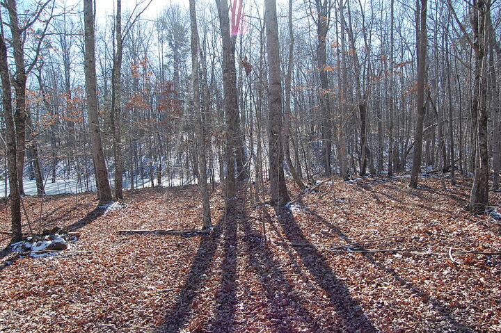 Property Photo:  340 Bluff View Drive  TN 37327 