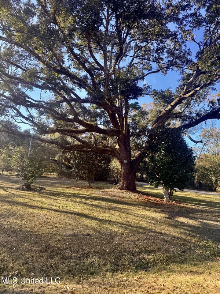 Property Photo:  913 Roys Road  MS 39553 