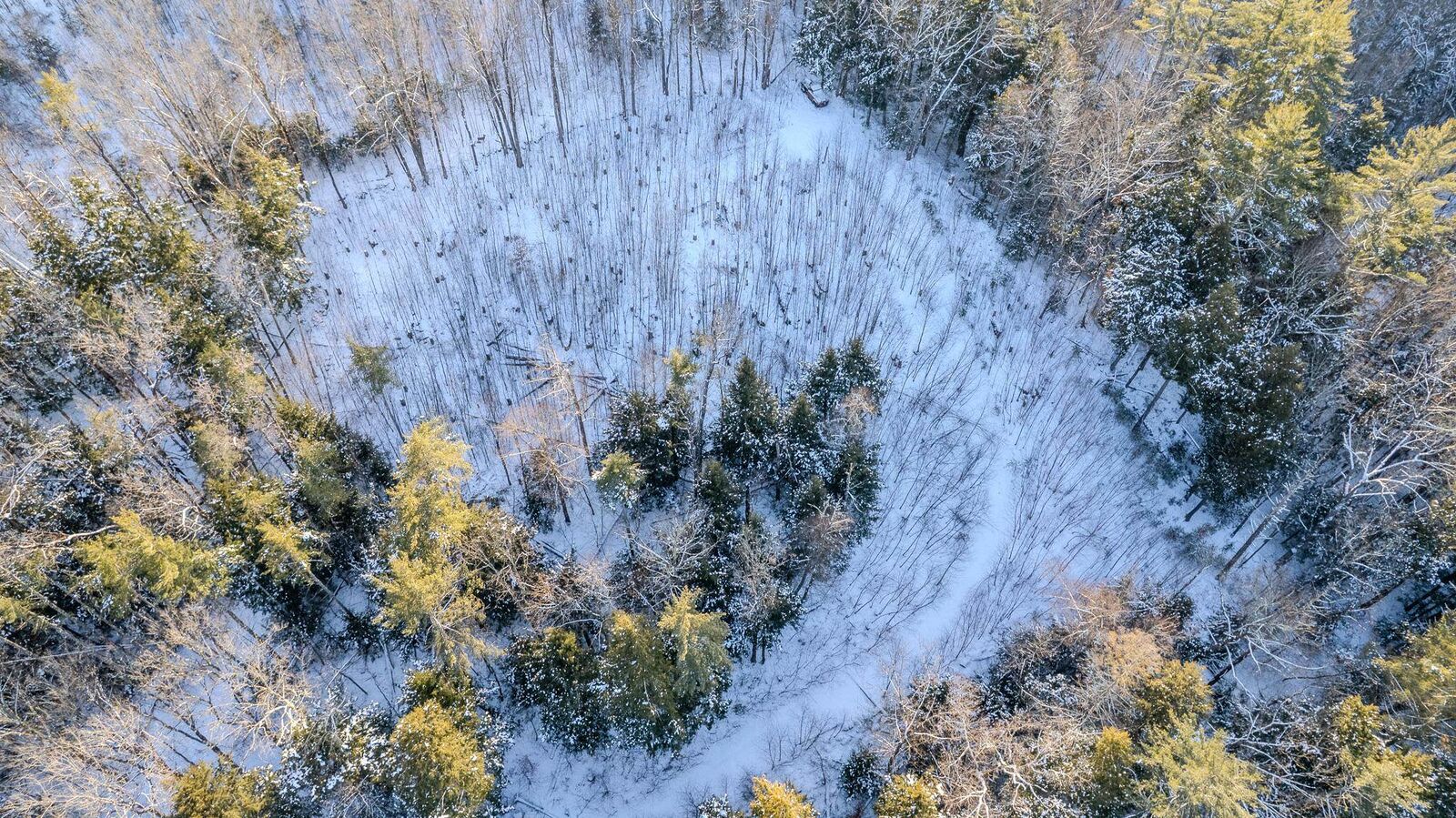 Property Photo:  00 Route 123 Road  NH 03602 