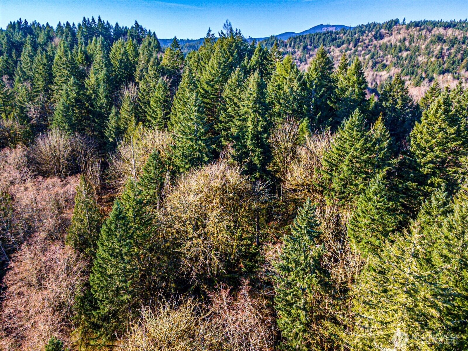 Property Photo:  0  Dempsey Lane SW  WA 98512 