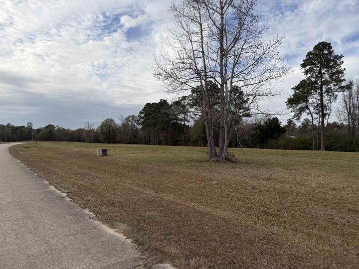 Property Photo:  Lot #5 Northbrook Dr  TX 77662 