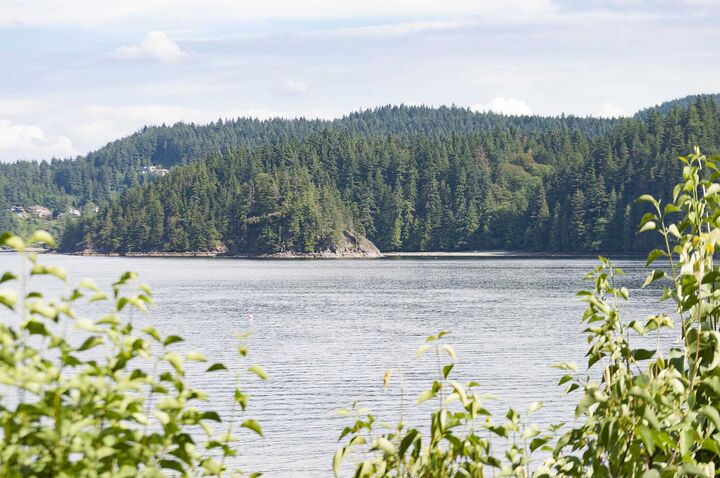 Property Photo:  5293 Indian River Drive  BC V7G 2T6 