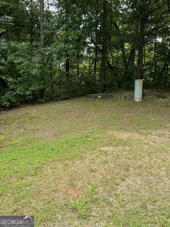 Property Photo: Lot 5 Harris Creek Drive GA 30540