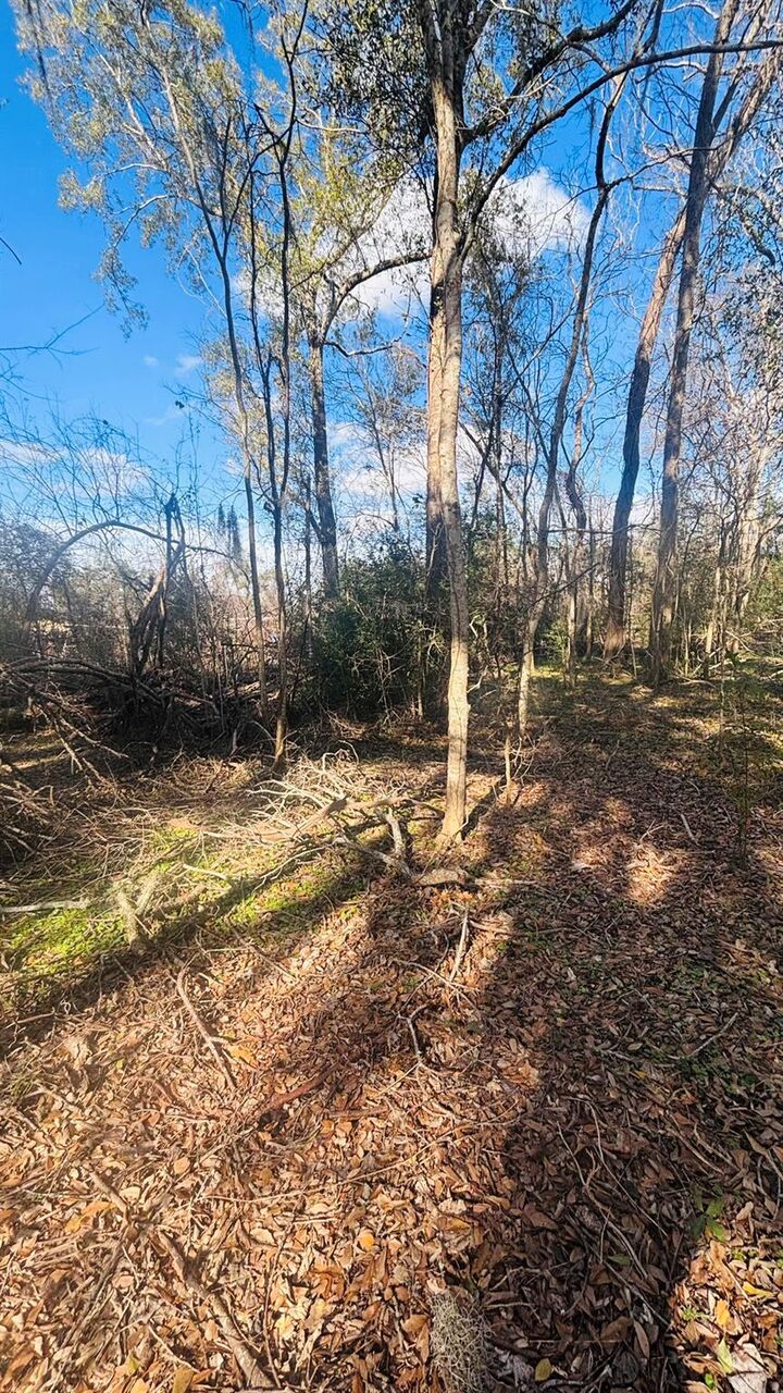 Property Photo:  Lot 638 Marshall Avenue  TX 77515 