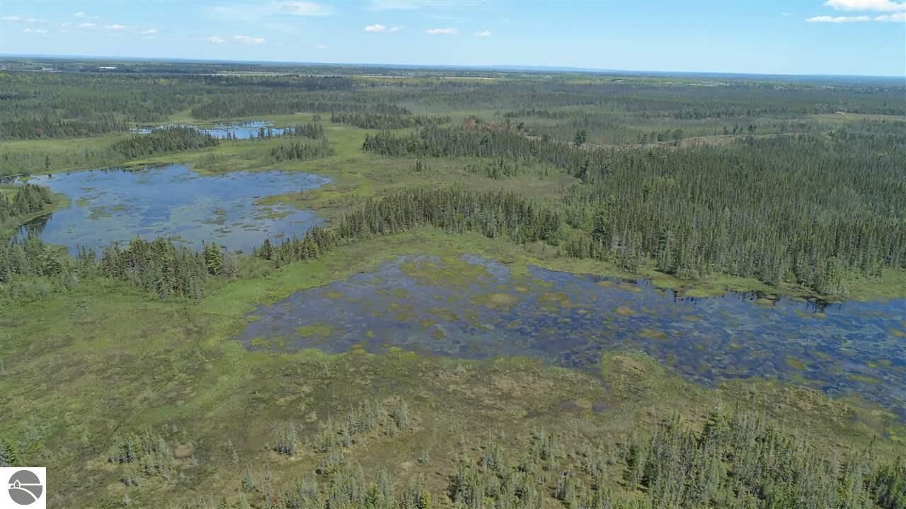 Property Photo:  320 Acres Aho Road  MI 49780 