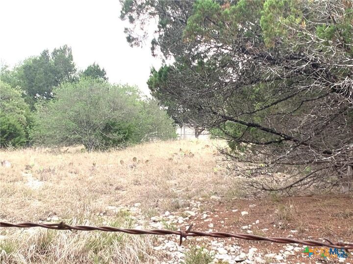 Property Photo:  Tbd Firefly Road  TX 76527 