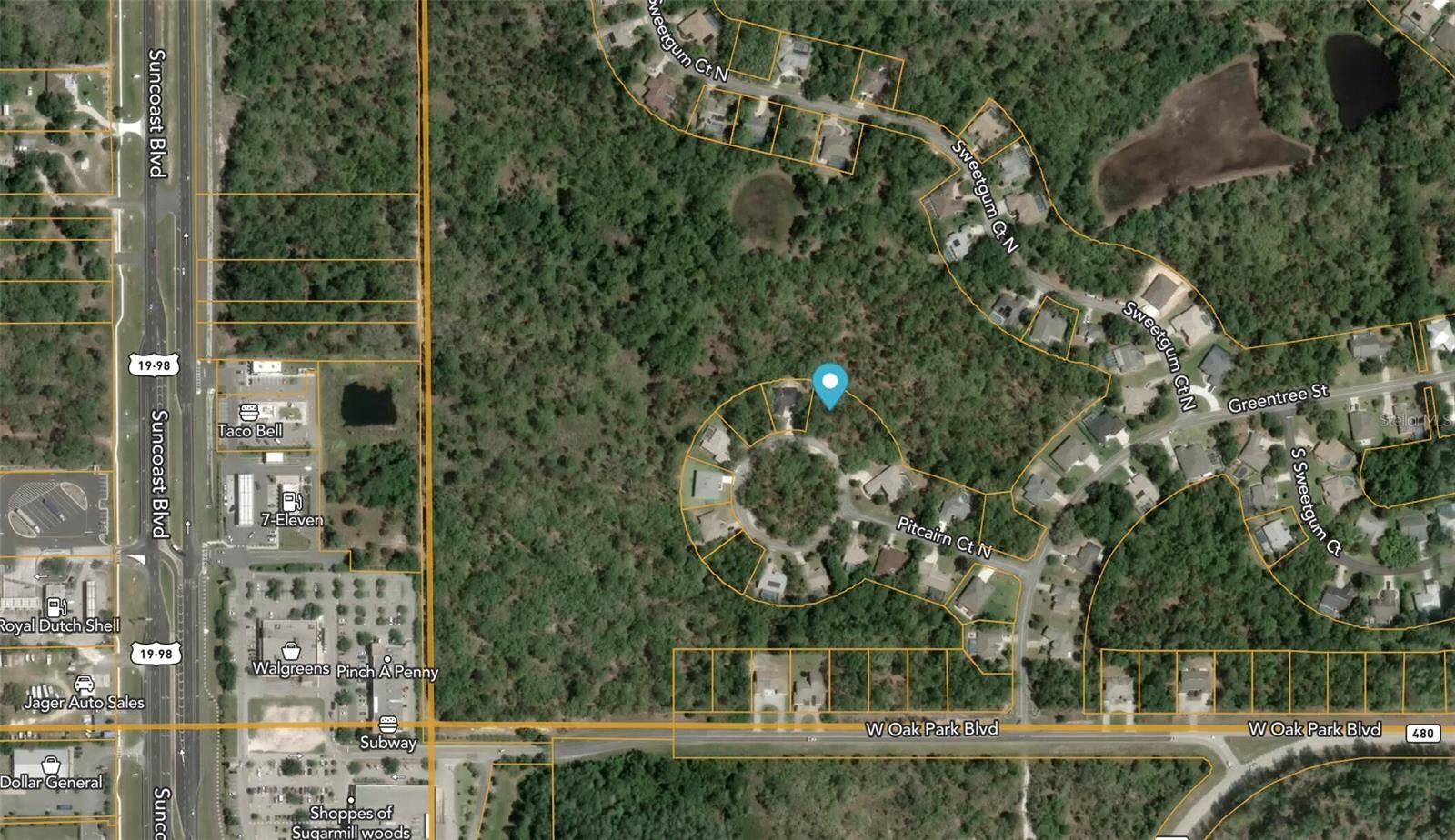 Property Photo: 12 Pitcairn Court FL 34446