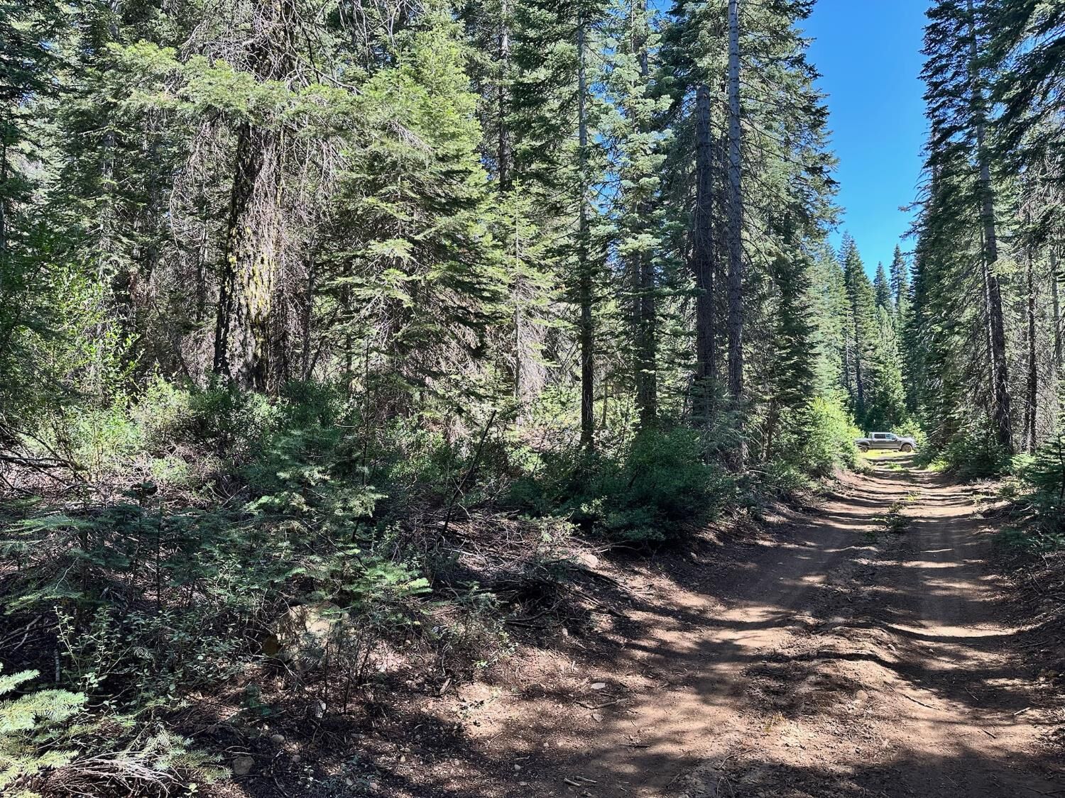 Property Photo: 19372 Marsh Mill Road CA 95959