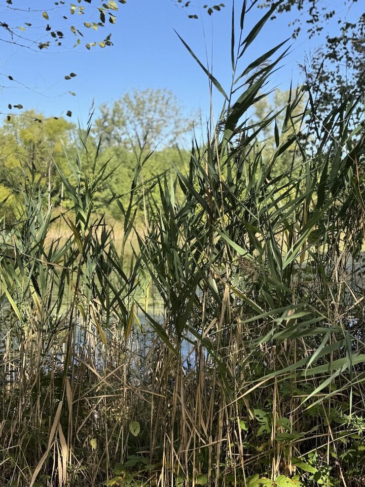 Property Photo:  3152 Heavilin Road  IN 46385 