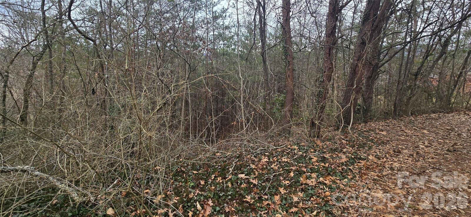 Property Photo:  Lot 2 Kuykendall Lane  NC 28716 