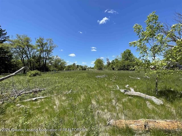 Property Photo:  0 S Poseyville Road  MI 48640 