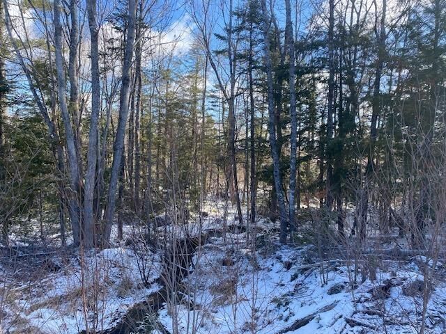 Pid 60446457 Newburne Road — photo 1