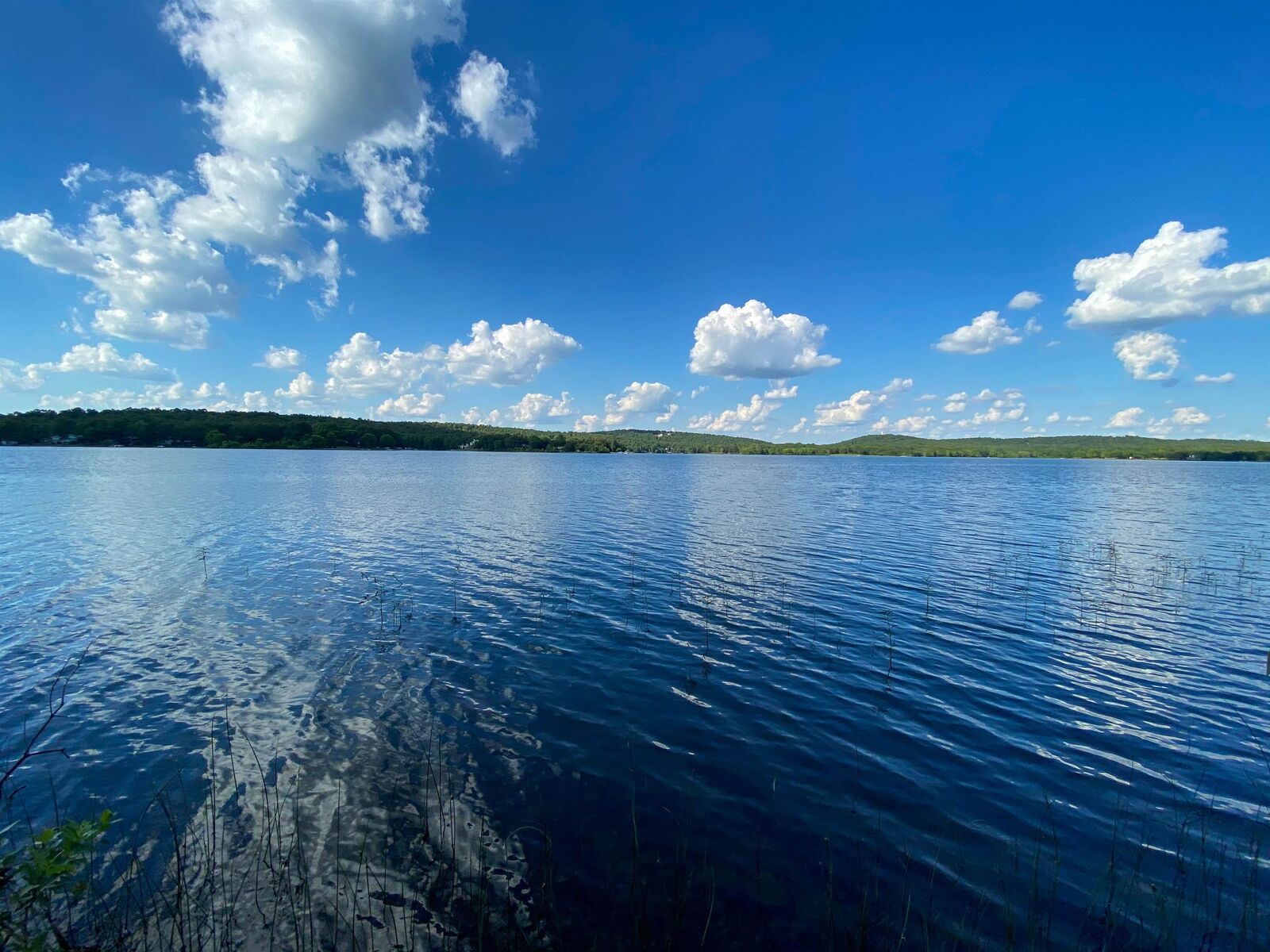 Property Photo:  1106 South Shore Drive  AR 72512 