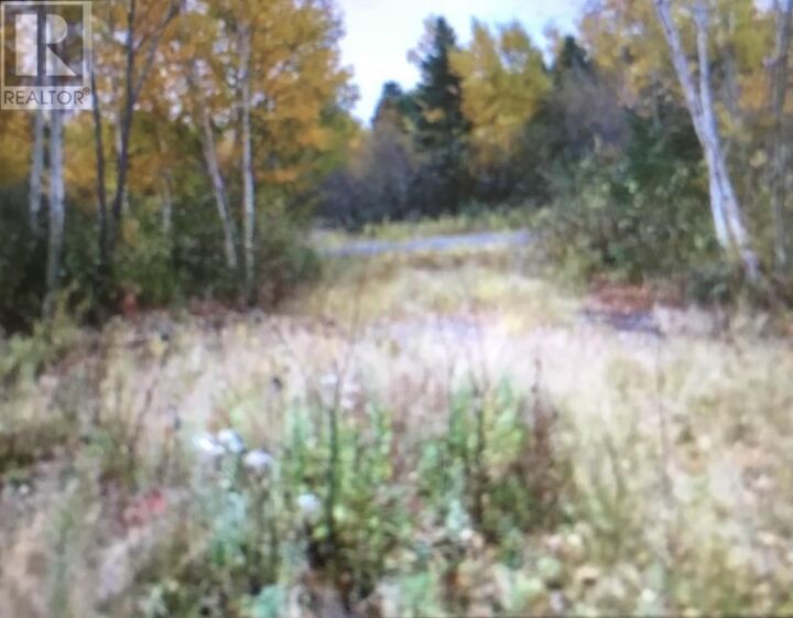 Property Photo:  260A Main Street  NL A0G 2B0 
