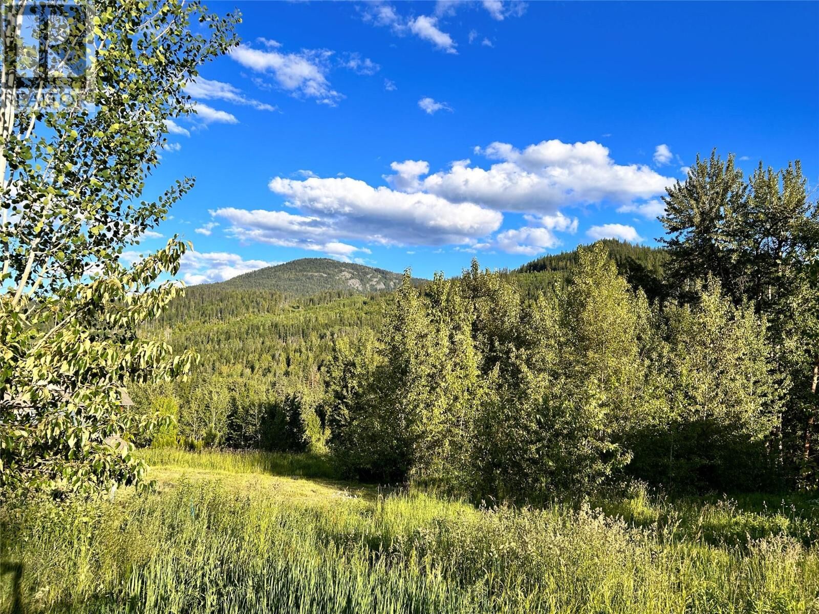 Property Photo: 917 Redstone Drive BC V0G 1Y0