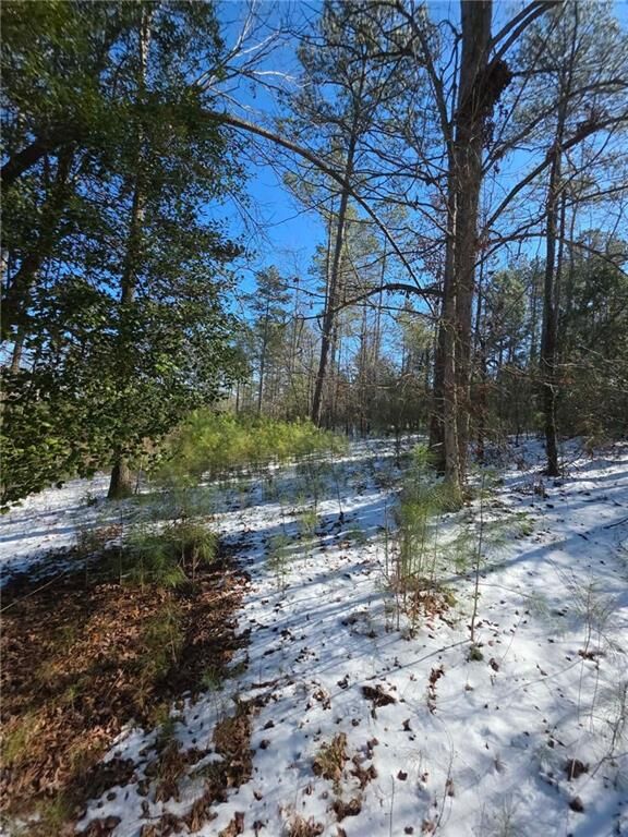 Property Photo:  Lot 56 Hornets Bridge Drive  GA 30635 