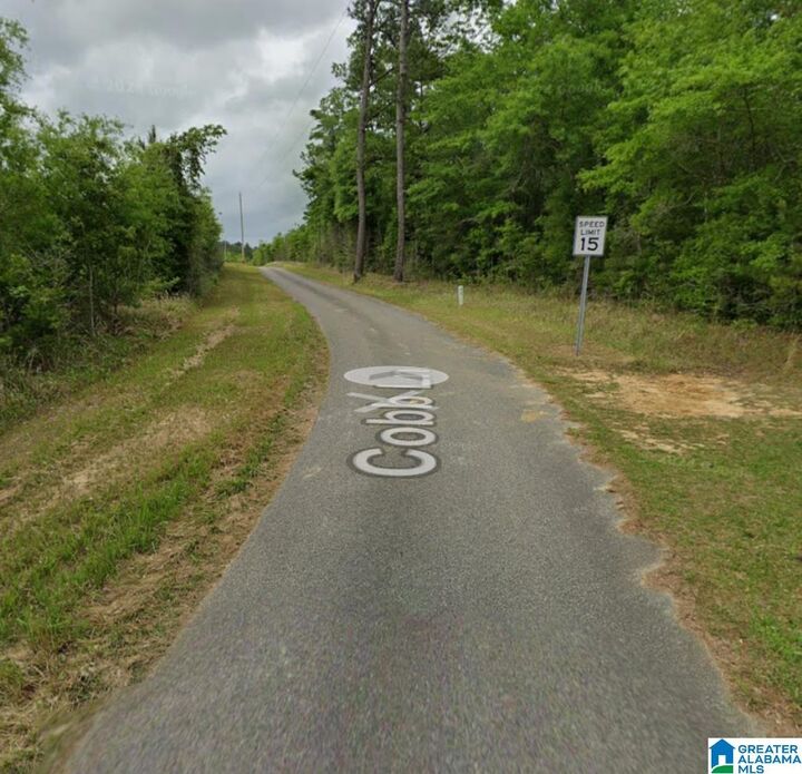 Property Photo:  0 Cobb Lane 0  AL 36579 