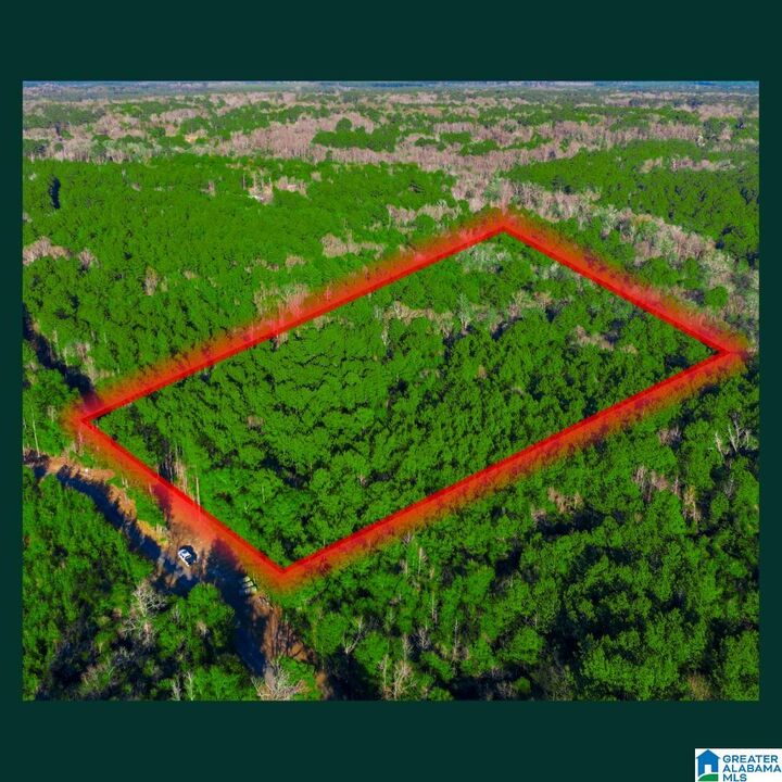 Property Photo:  0 Cobb Lane 0  AL 36579 