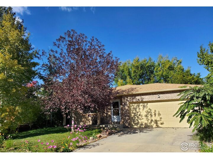 Property Photo:  60 Lodgepole Dr  CO 80550 