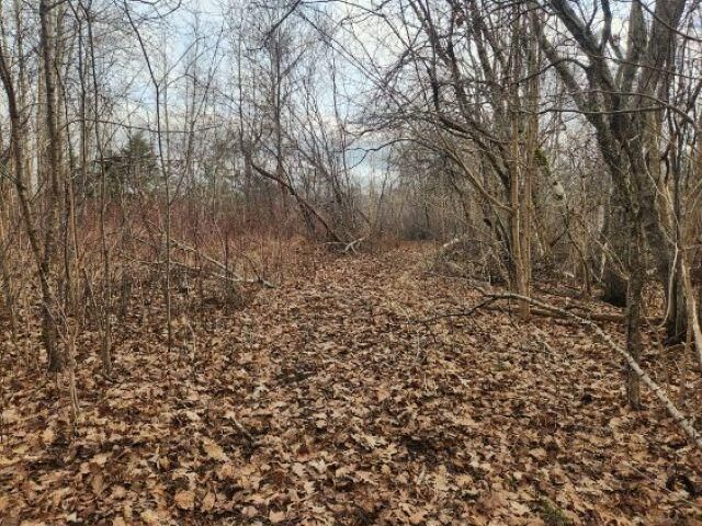 Property Photo:  8 Acres Cedar Road Church Hill  NS B0N 1T0 