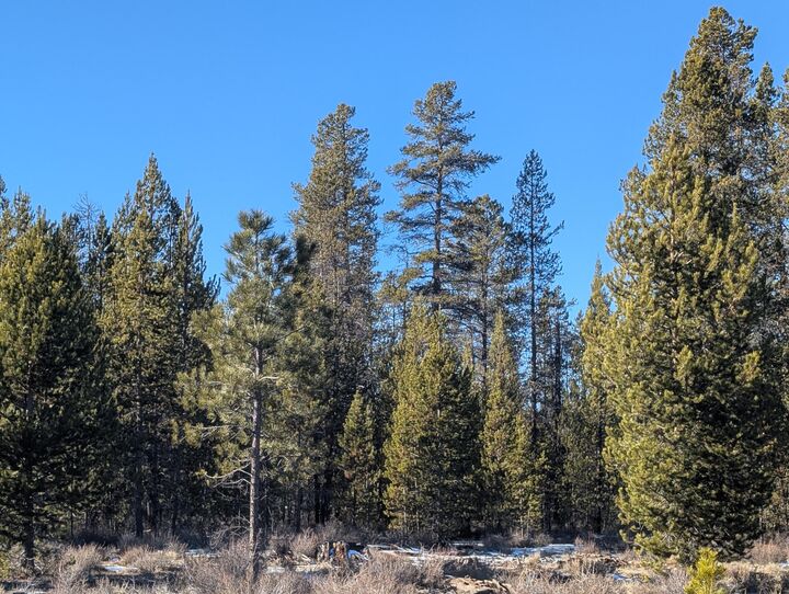 Property Photo:  Tl 211107B000108, Tl 211106C00  OR 97707 