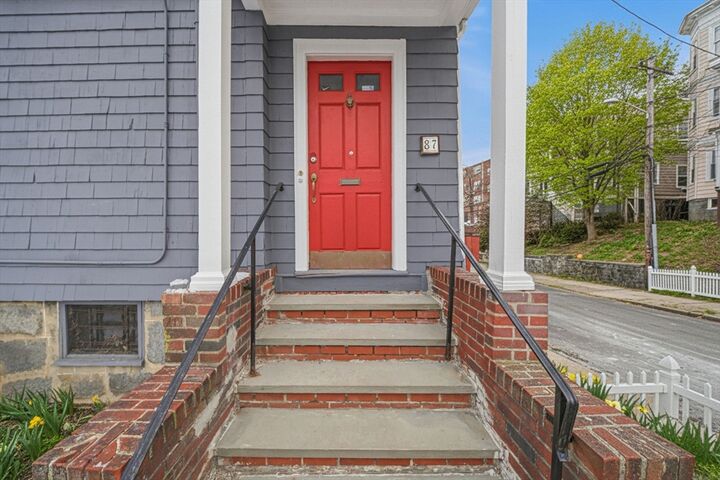Property Photo:  87 Burt St  MA 02124 