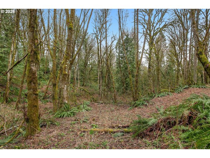 Property Photo: 0 NW Summitview Dr OR 97229