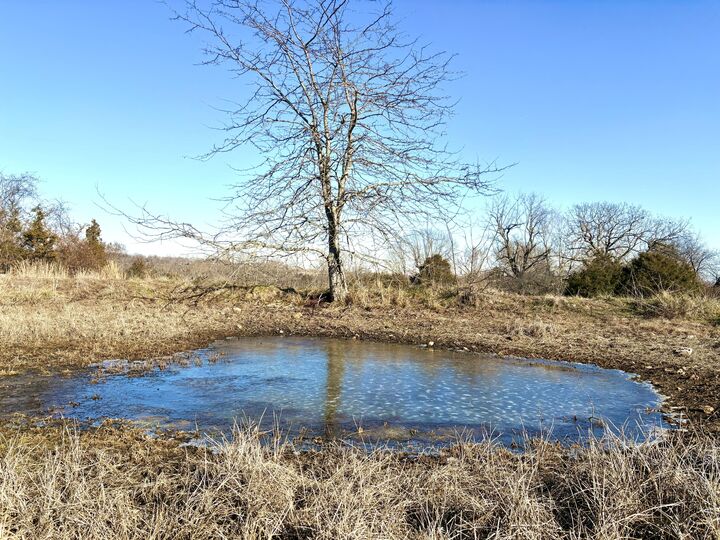 Property Photo:  000 County Road 900  MO 65761 