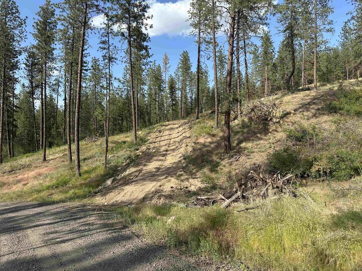 Property Photo:  Nka Lower Weaver Way Lot C  WA 99006 