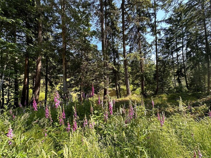 Property Photo:  370 Baker Rd  BC V8K 2N6 