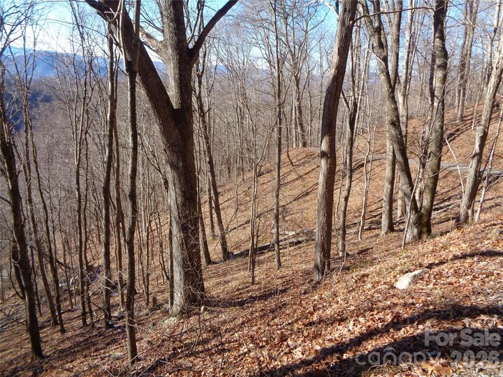 Property Photo:  00 Listening Cove 41  NC 28721 